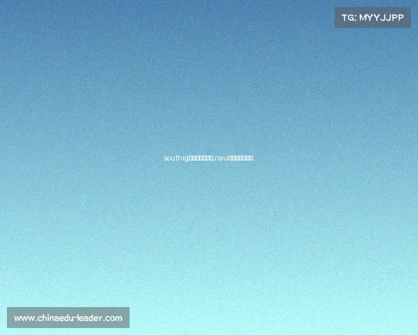 southig电子竞技俱乐部,navi电子竞技俱乐部